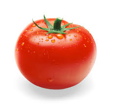 Tomato มะเขือเทศ