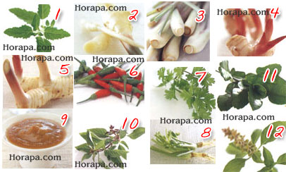 Thai Herb พืชสมุนไพรไทย