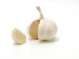 Garlic กระเทียม สมุนไพรไทย ช่วนลดความอ้วน