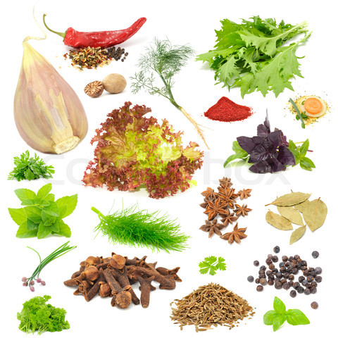 Spice and Herb Set (Garlic, Chili Pepper, Dill, Mizuna, Nutmeg, Lettuce, Parsley, Tandoori Masala, Basil, Soup Seasoning, Mint, Fennel, Anise, Bay Leaves, Chives, Cloves, Celery, Juniper Berries, Caraway Seeds) Isolated on White Background
