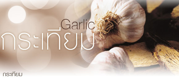 กระเทียม Garlic board.postjung.com