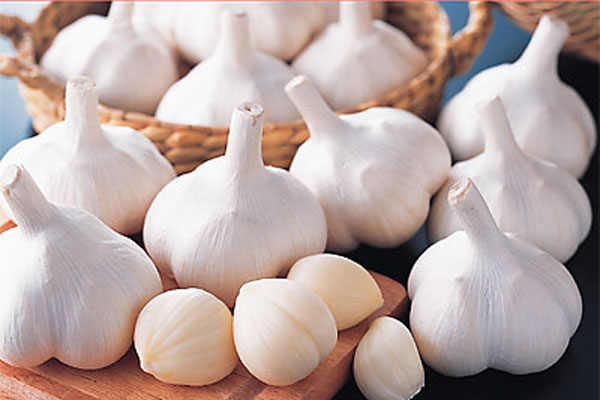 กระเทียม Garlic board.postjung.com