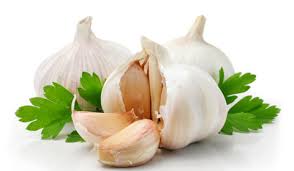 กระเทียม Garlic