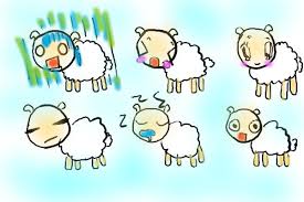 Sheep Counts 1