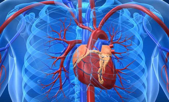 health_menshealth_check-heart-disease_หัวใจคุณปกติหรือเปล่า_3