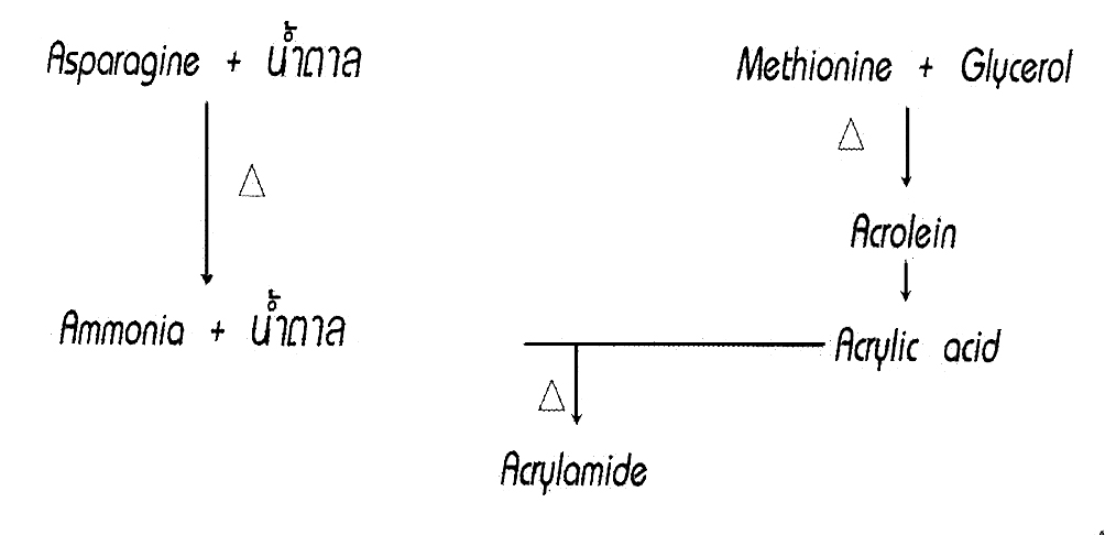 Acrylamide cancer reagent