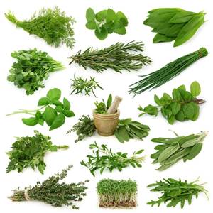 Thai Herb Benefits