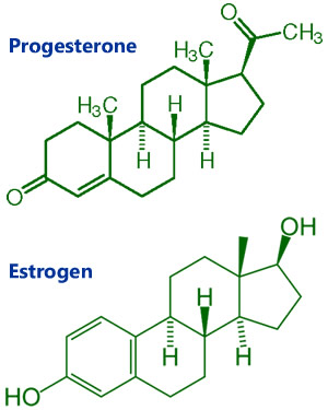 estrogen_and_progesterone