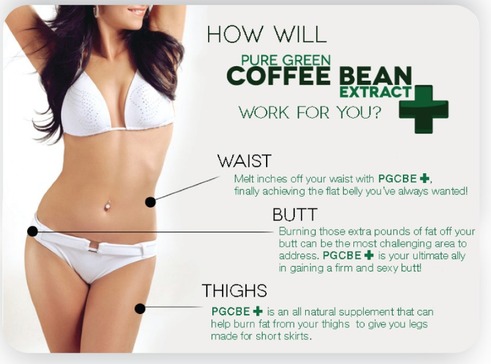 how green coffee bean work for you