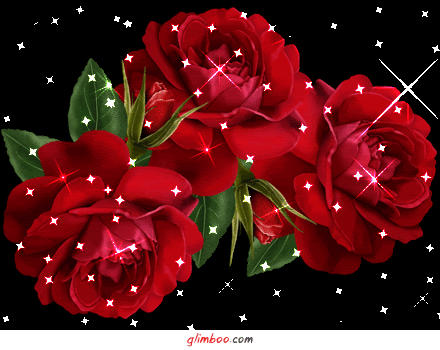 valentine's roses 2